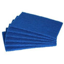Blue Scourers 9 x 6"